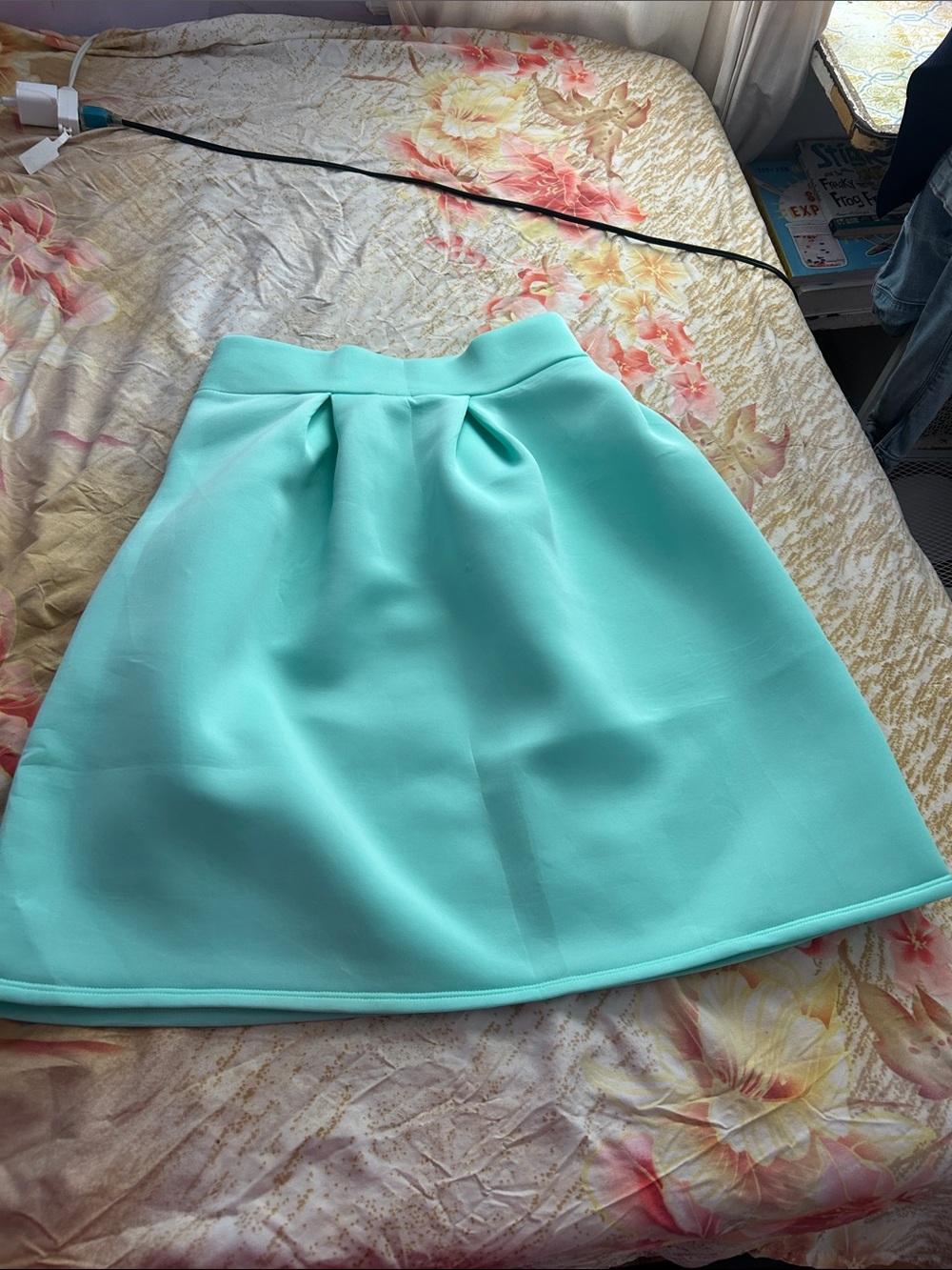 Snap Mint Green Pleated Circle Skirt